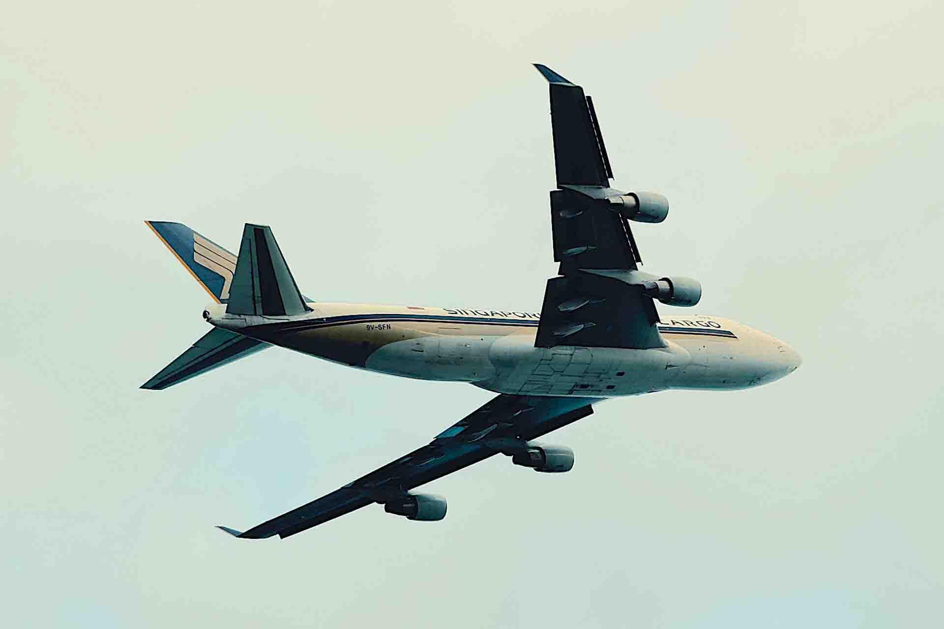 https://cdn.aucklandunlimited.com/zoo/assets/media/cargo-plane-that-rhino-nyahs-leaving-on.jpg
