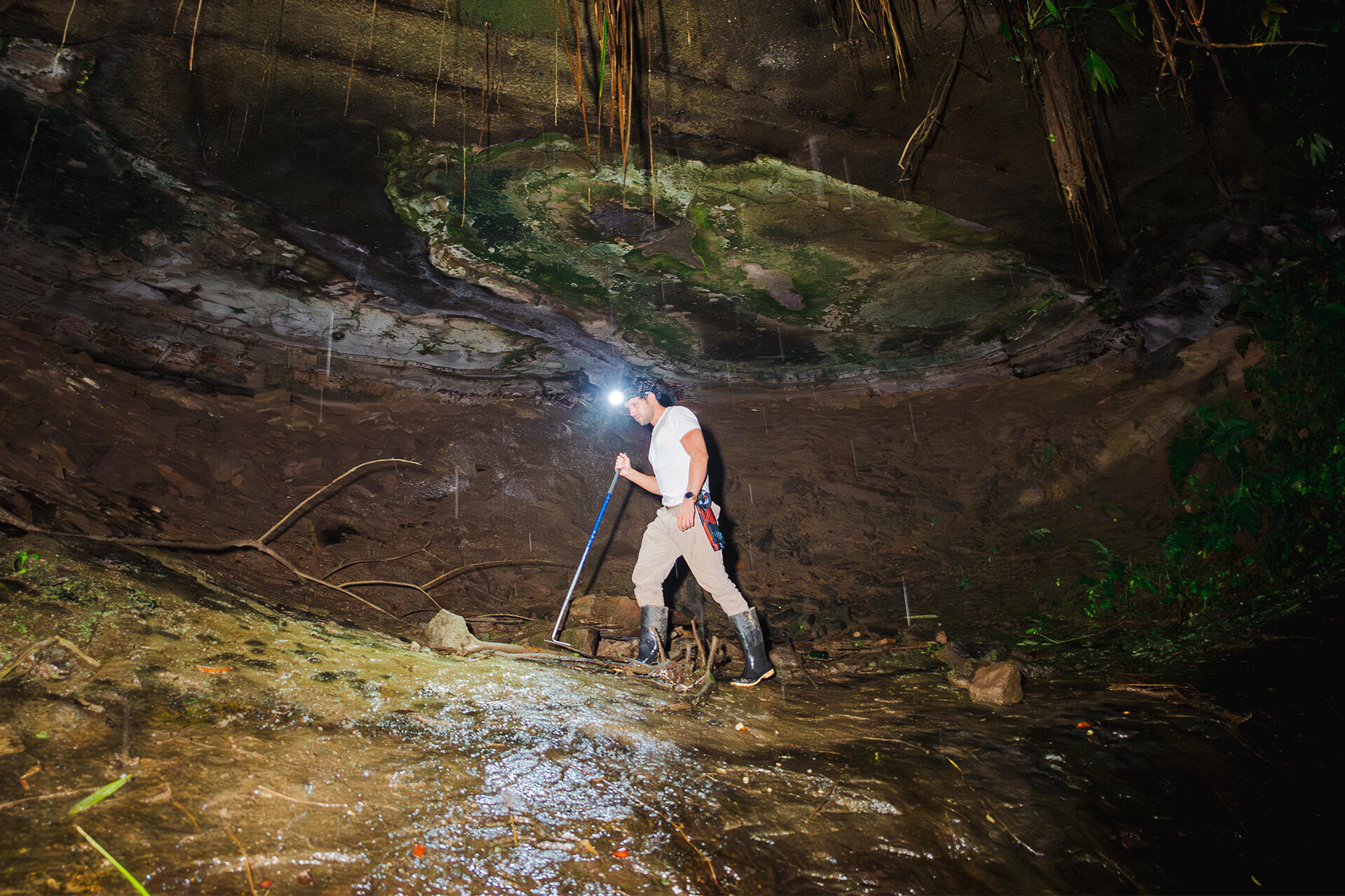 https://cdn.aucklandunlimited.com/zoo/assets/media/cave-search-photo-by-david-jacome.jpg