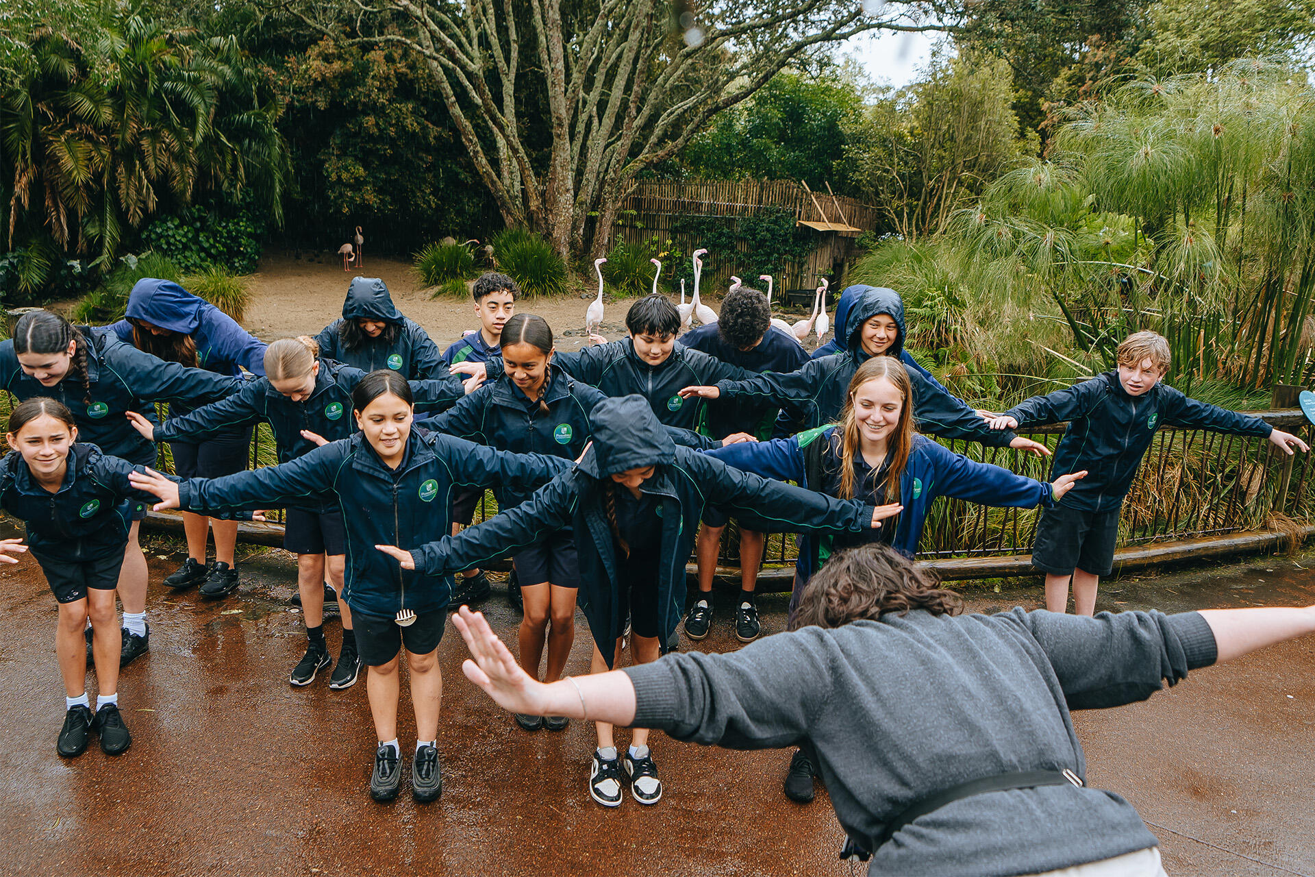 https://cdn.aucklandunlimited.com/zoo/assets/media/conservation-learning-facilitator-lizzy-lockhart-teaching-students-the-flamingo-dance.jpg