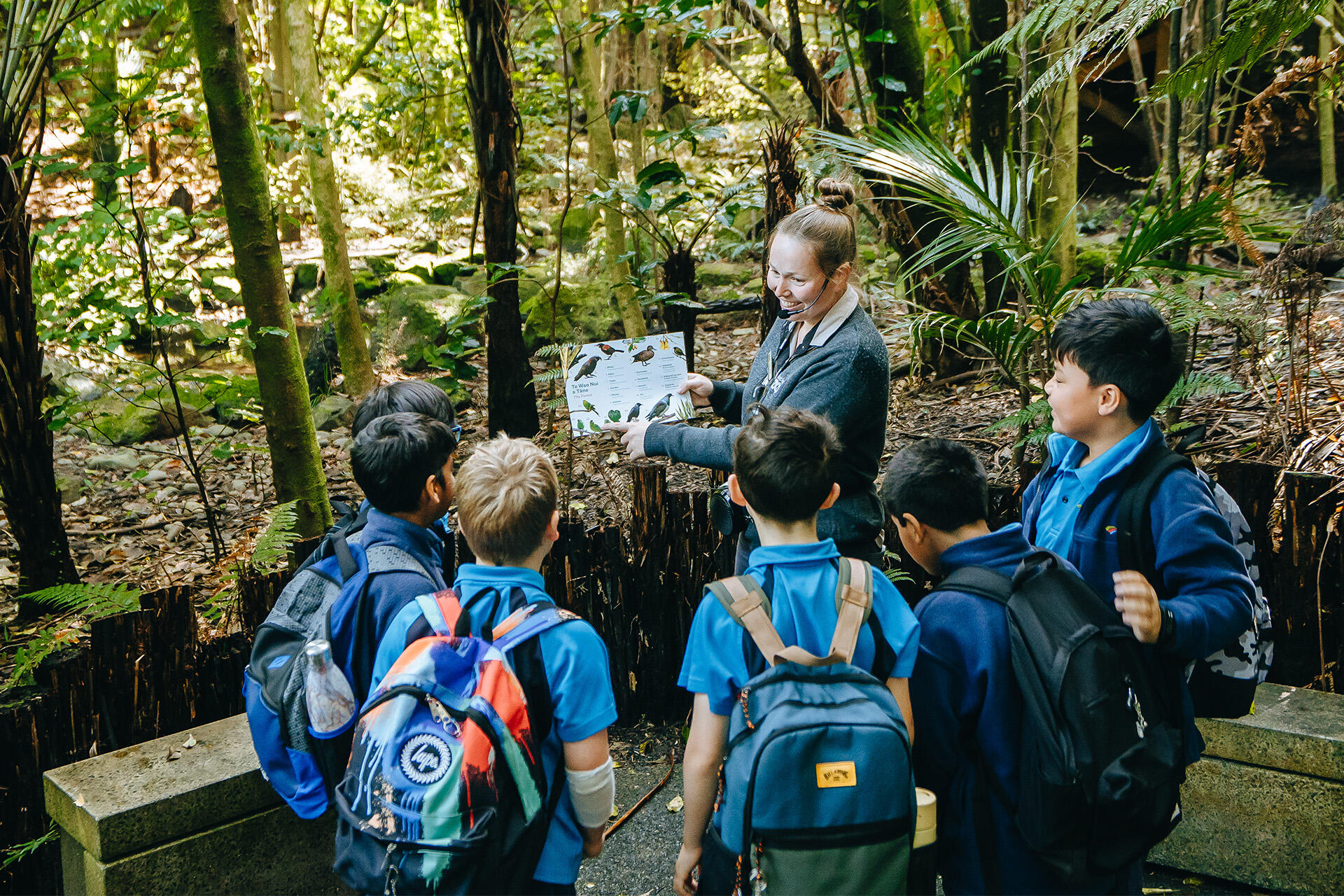 https://cdn.aucklandunlimited.com/zoo/assets/media/conservation-learning-facilitator-tory-carver-with-students-in-the-forest-te-wao-nui.jpg