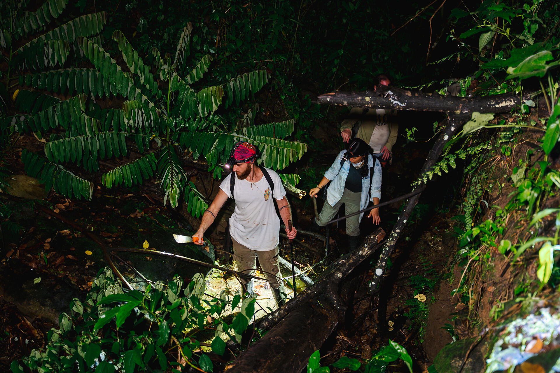 https://cdn.aucklandunlimited.com/zoo/assets/media/creek-search-photo-by-david-jacome3.jpg
