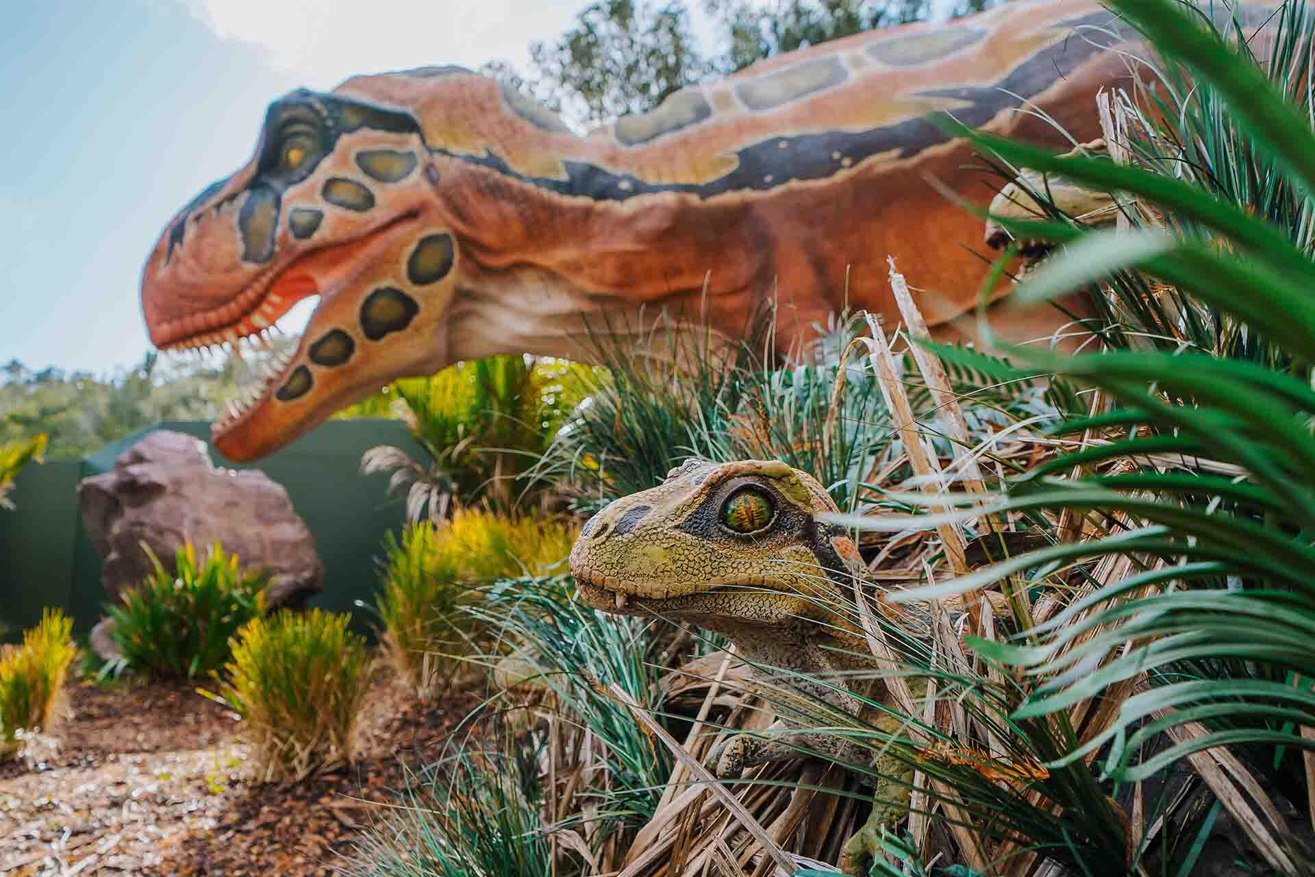 https://cdn.aucklandunlimited.com/zoo/assets/media/dinosaur-tyrannosaurus-baby-with-adult-in-the-background.jpg