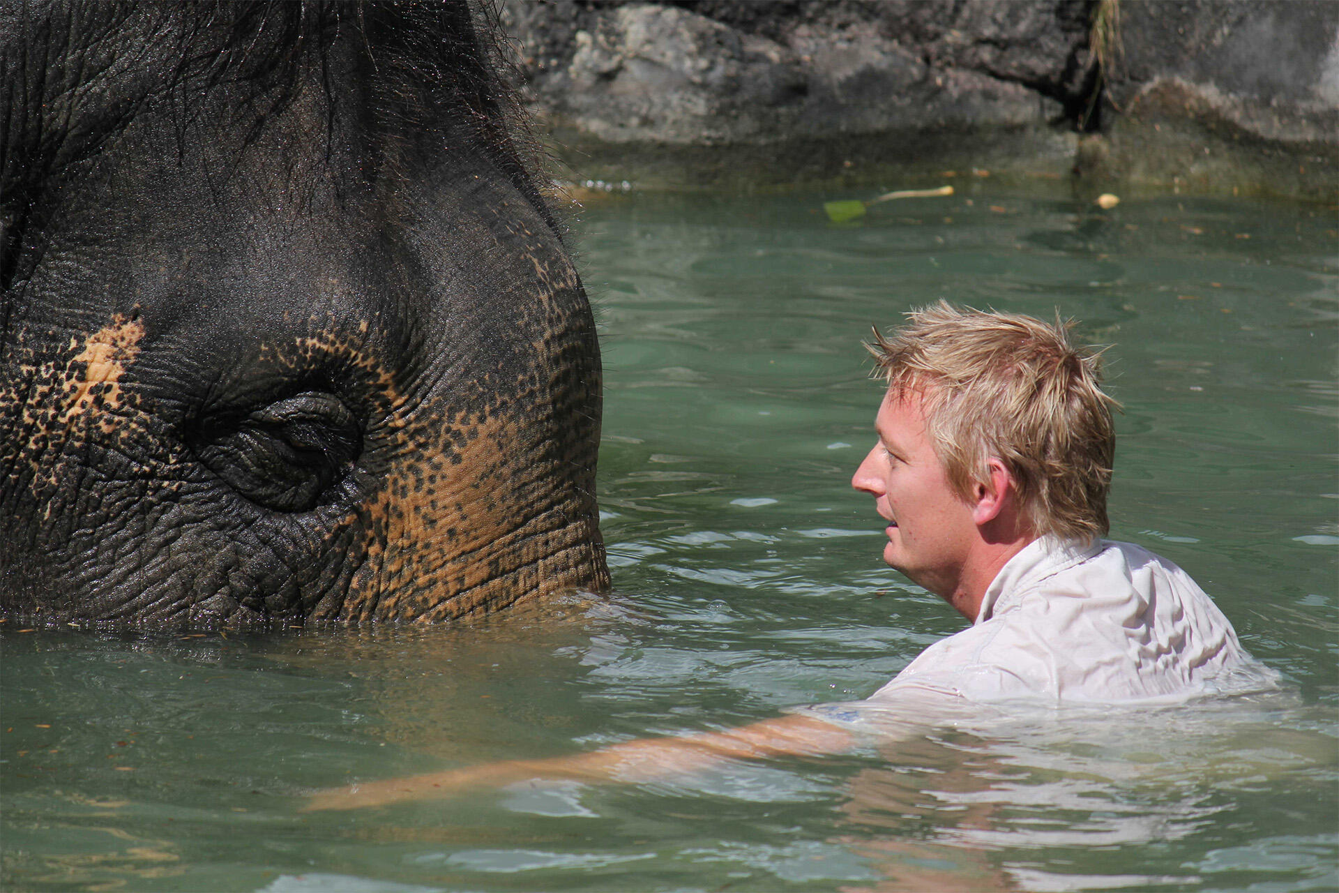 https://cdn.aucklandunlimited.com/zoo/assets/media/elephant-team-leader-andrew-coers-in-the-pool-with-asian-elephant-burma-1.jpg