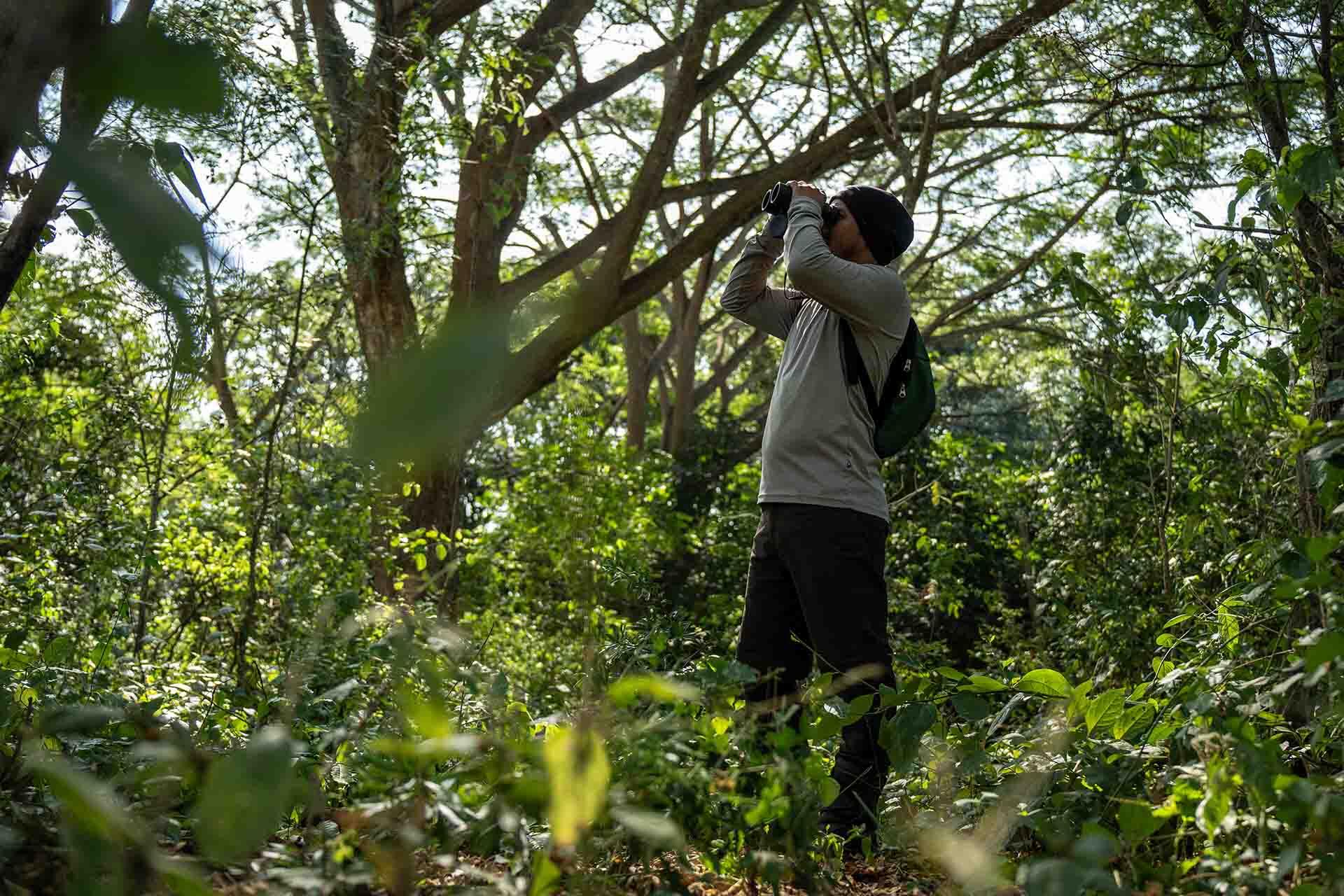 https://cdn.aucklandunlimited.com/zoo/assets/media/fundacion-de-conservacion-jocotoco-adrian-latorre-with-binoculars.jpg