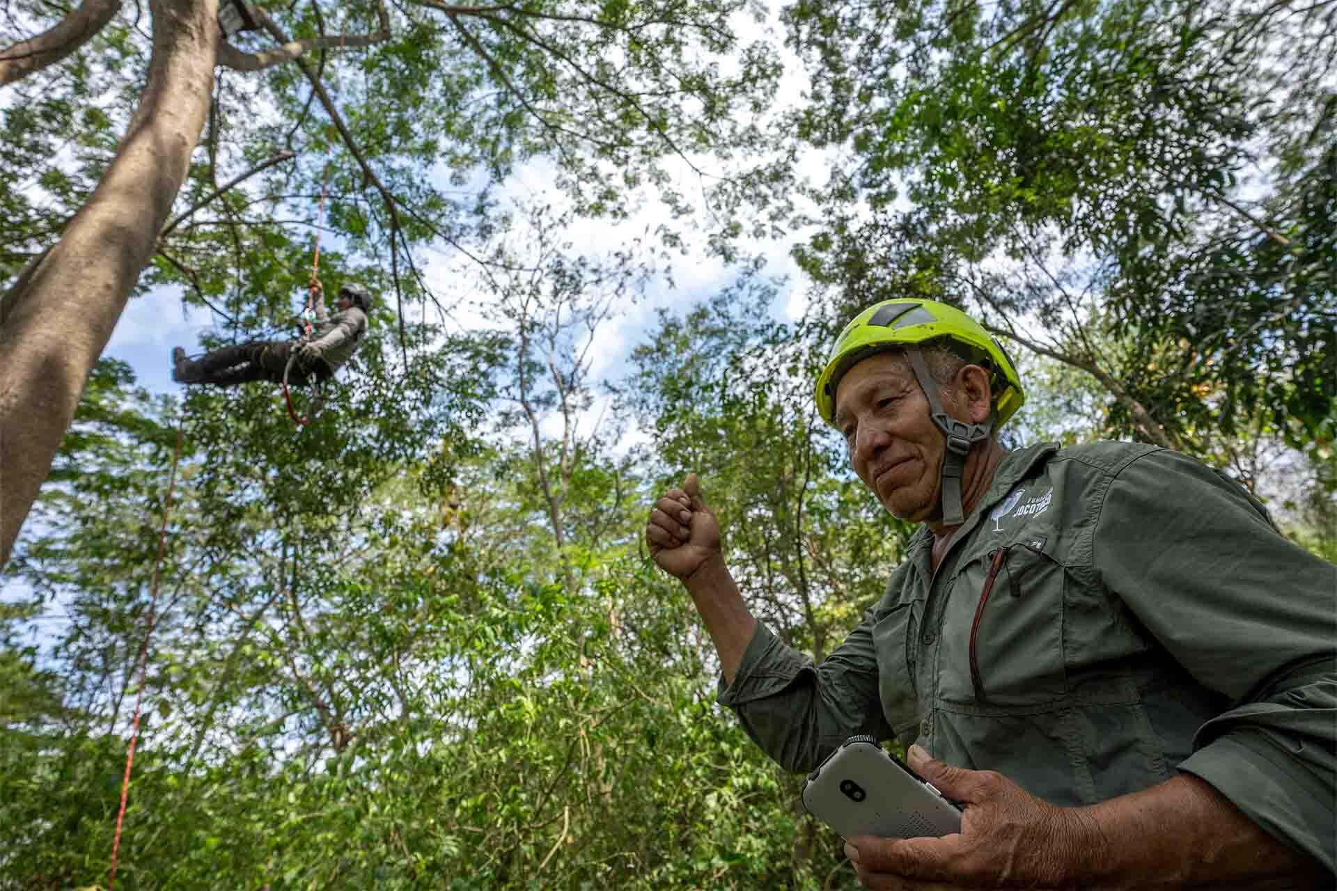 https://cdn.aucklandunlimited.com/zoo/assets/media/fundacion-de-conservacion-jocotoco-patricio-reyes-with-adrian-latorre-in-tree.jpg