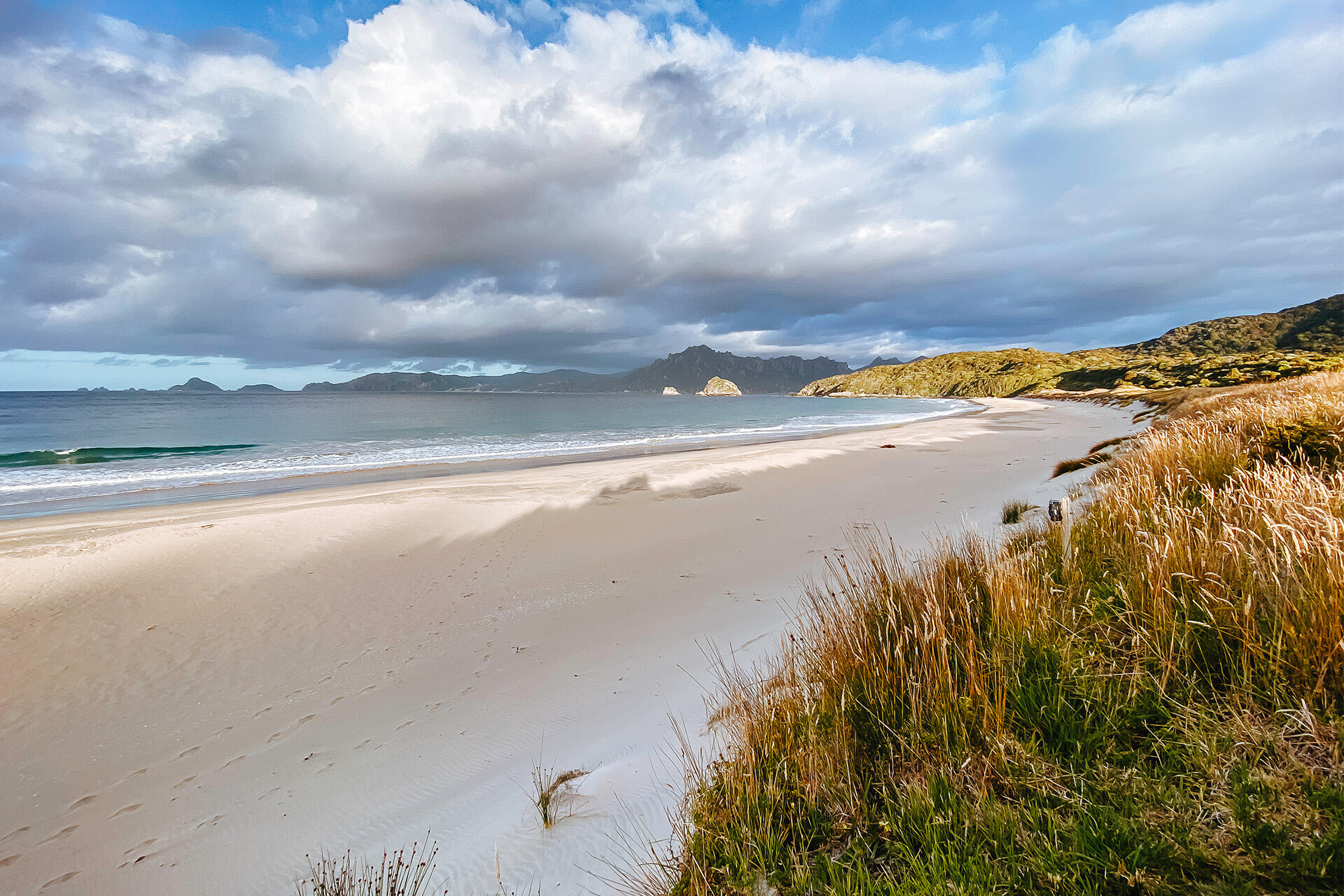 https://cdn.aucklandunlimited.com/zoo/assets/media/kakapo-fieldwork-whenua-hou-island-mik-ph-march-202601.jpg