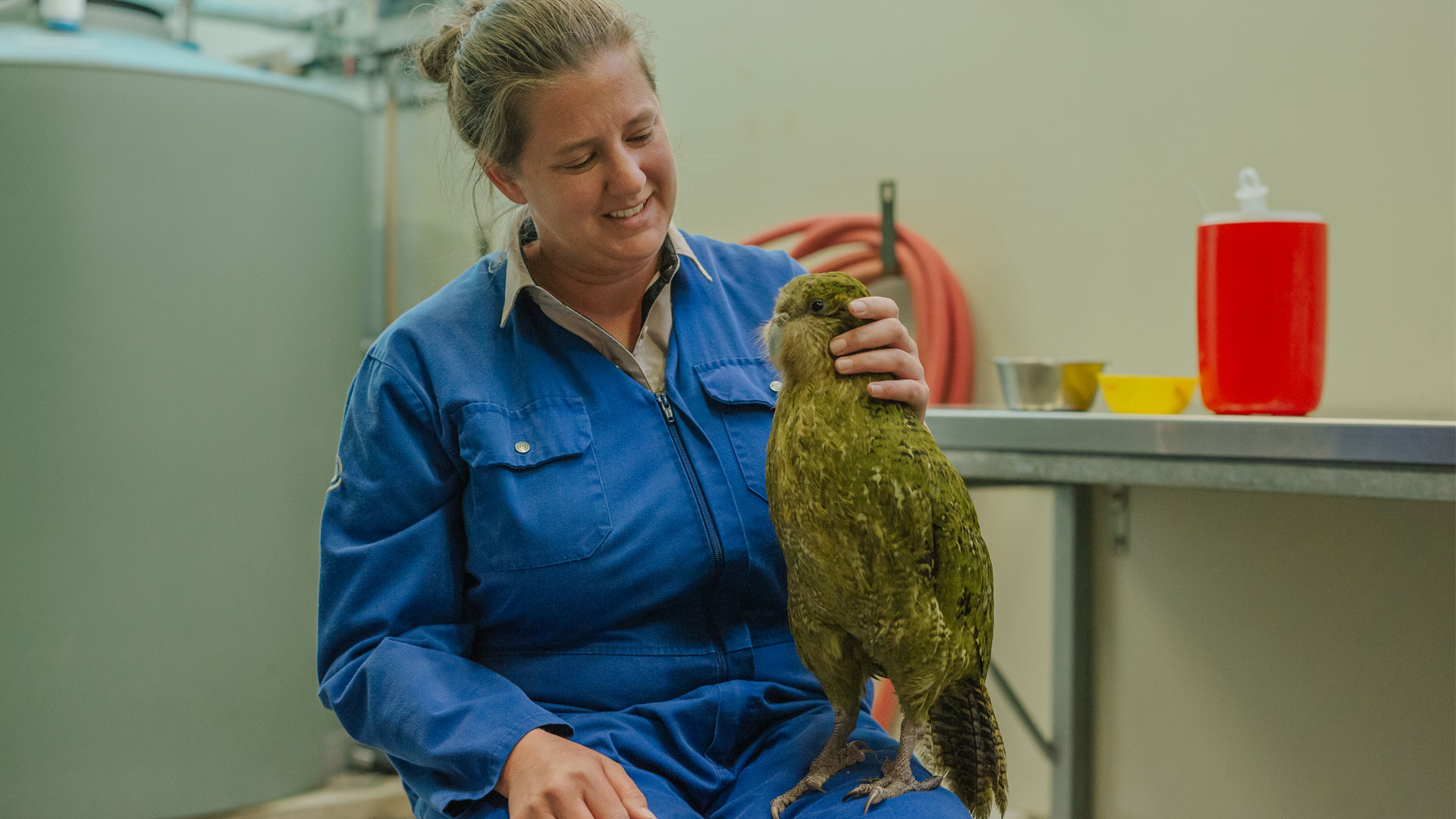 https://cdn.aucklandunlimited.com/zoo/assets/media/kakapo-vet-hospital-mati-ma-gallery-1.jpg