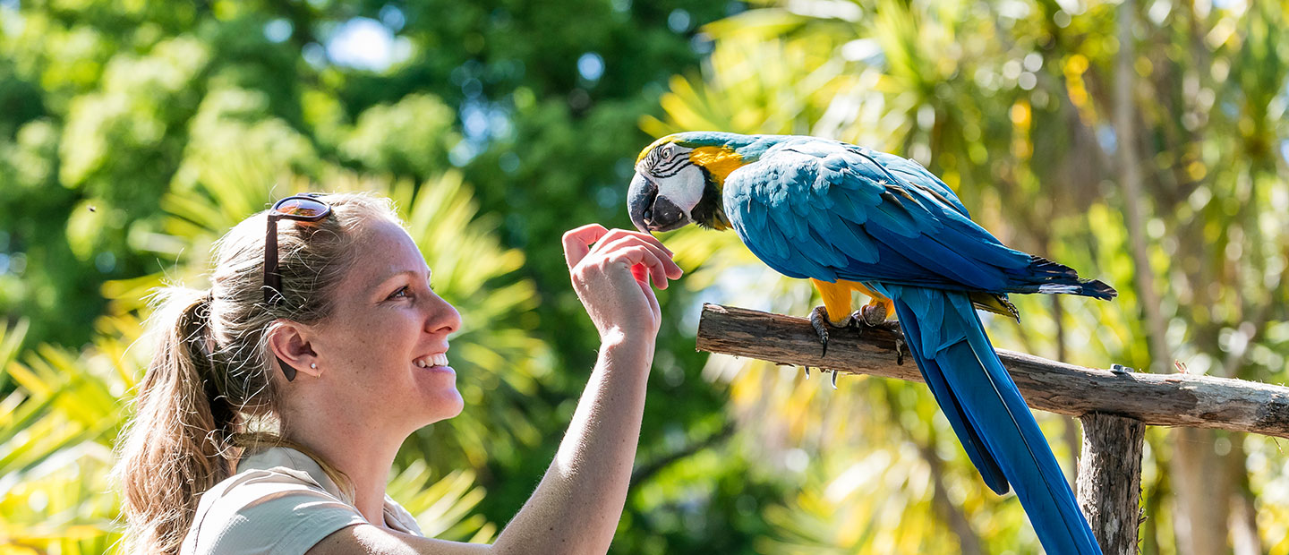 Occupation Career Information Auckland Zoo