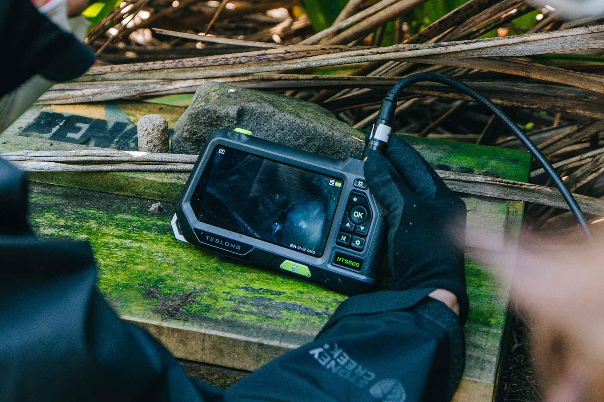 https://cdn.aucklandunlimited.com/zoo/assets/media/korora-fieldwork-monitoring-checking-a-penguin-nest-with-a-camera.jpg