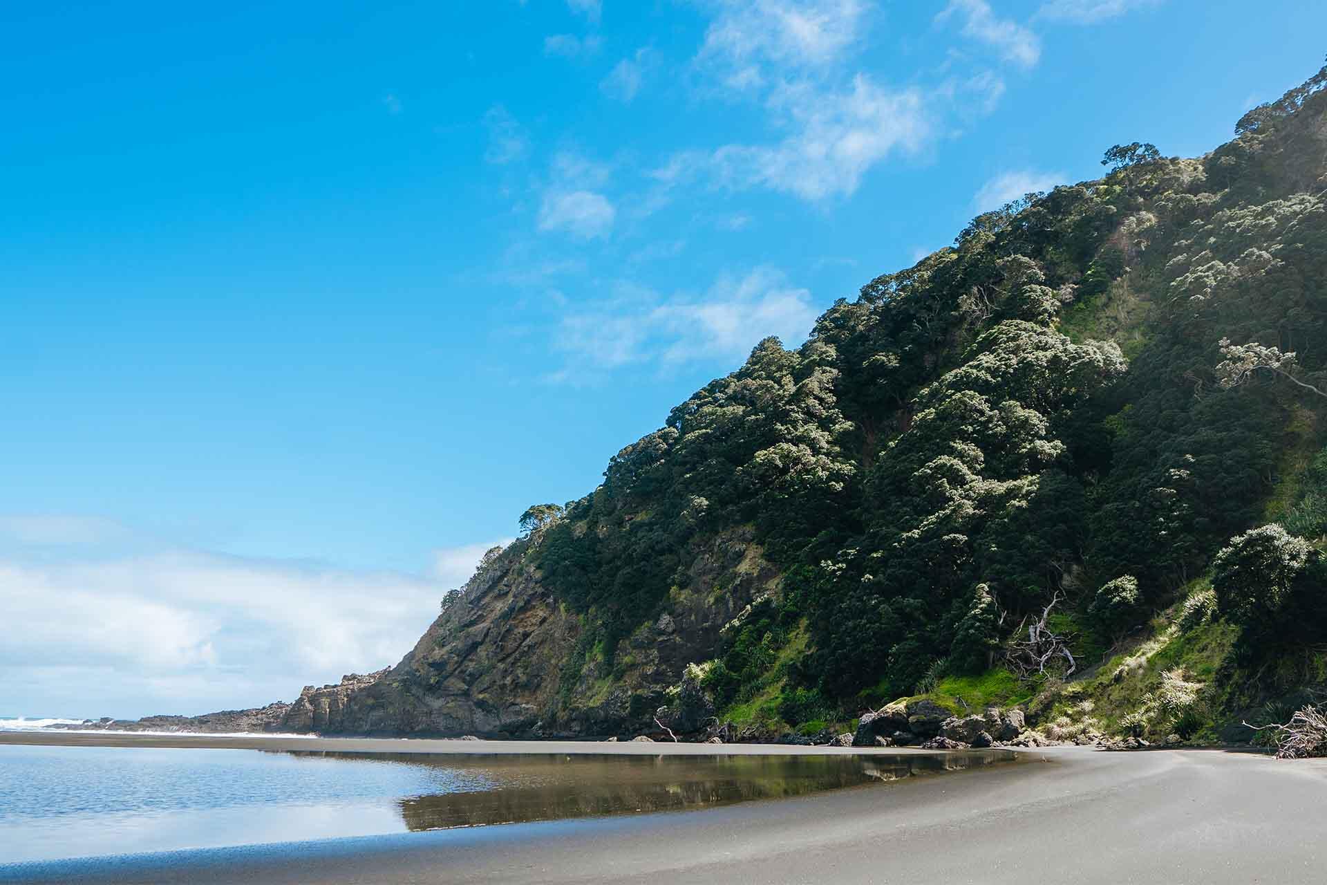 https://cdn.aucklandunlimited.com/zoo/assets/media/korora-fieldwork-monitoring-karekare-beach-and-cliff.jpg