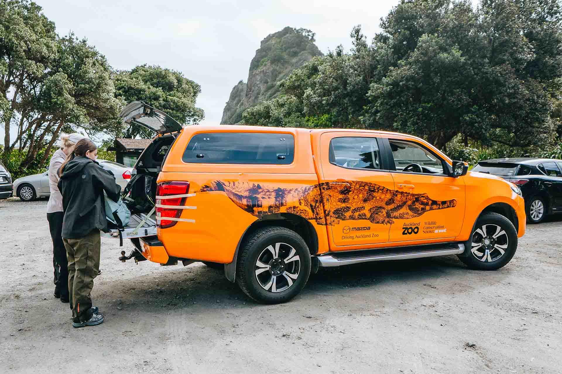 https://cdn.aucklandunlimited.com/zoo/assets/media/korora-fieldwork-monitoring-loading-gear-into-the-zoo-car.jpg