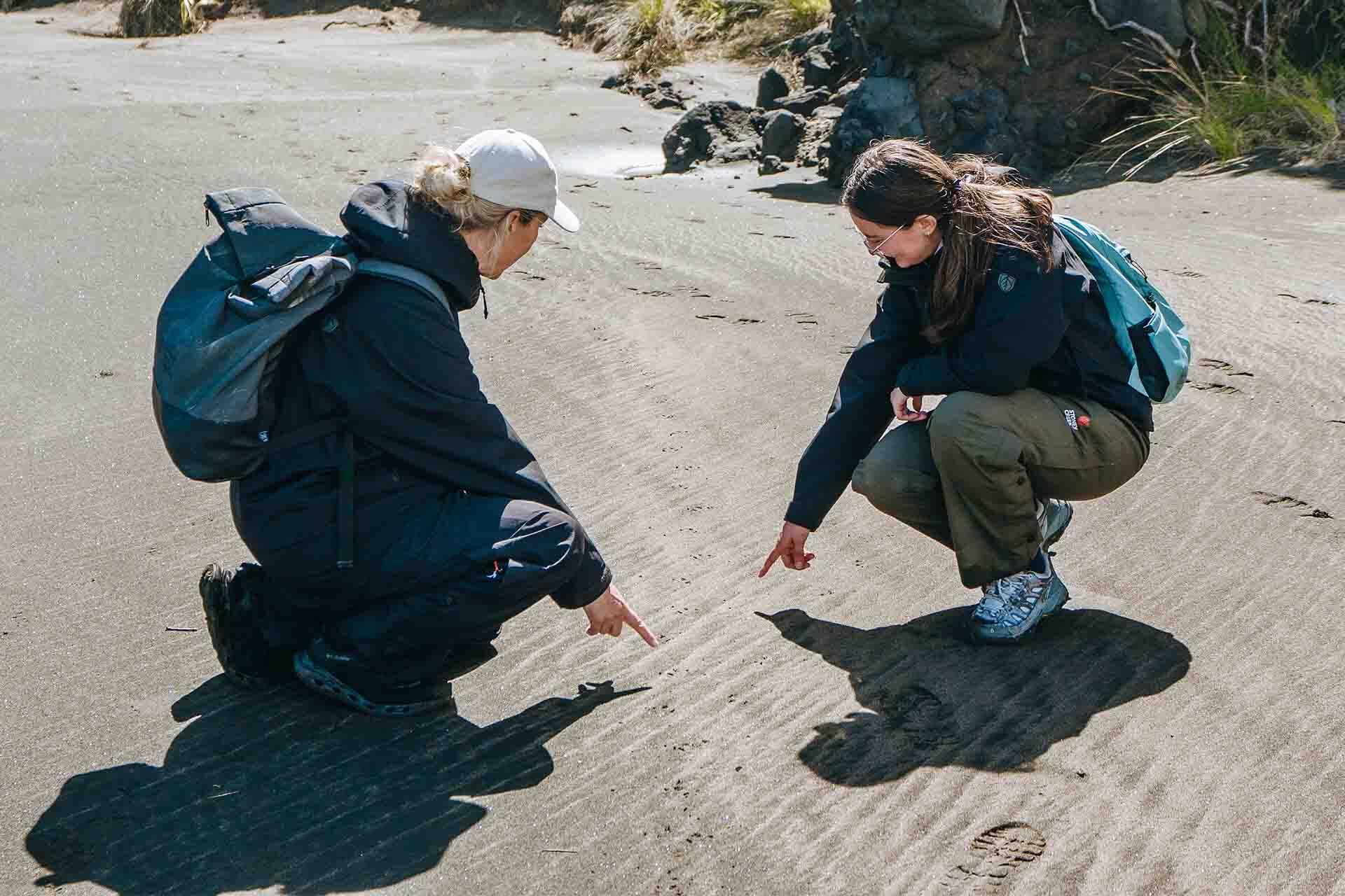 https://cdn.aucklandunlimited.com/zoo/assets/media/korora-fieldwork-monitoring-two-people-looking-at-penguin-tracks.jpg