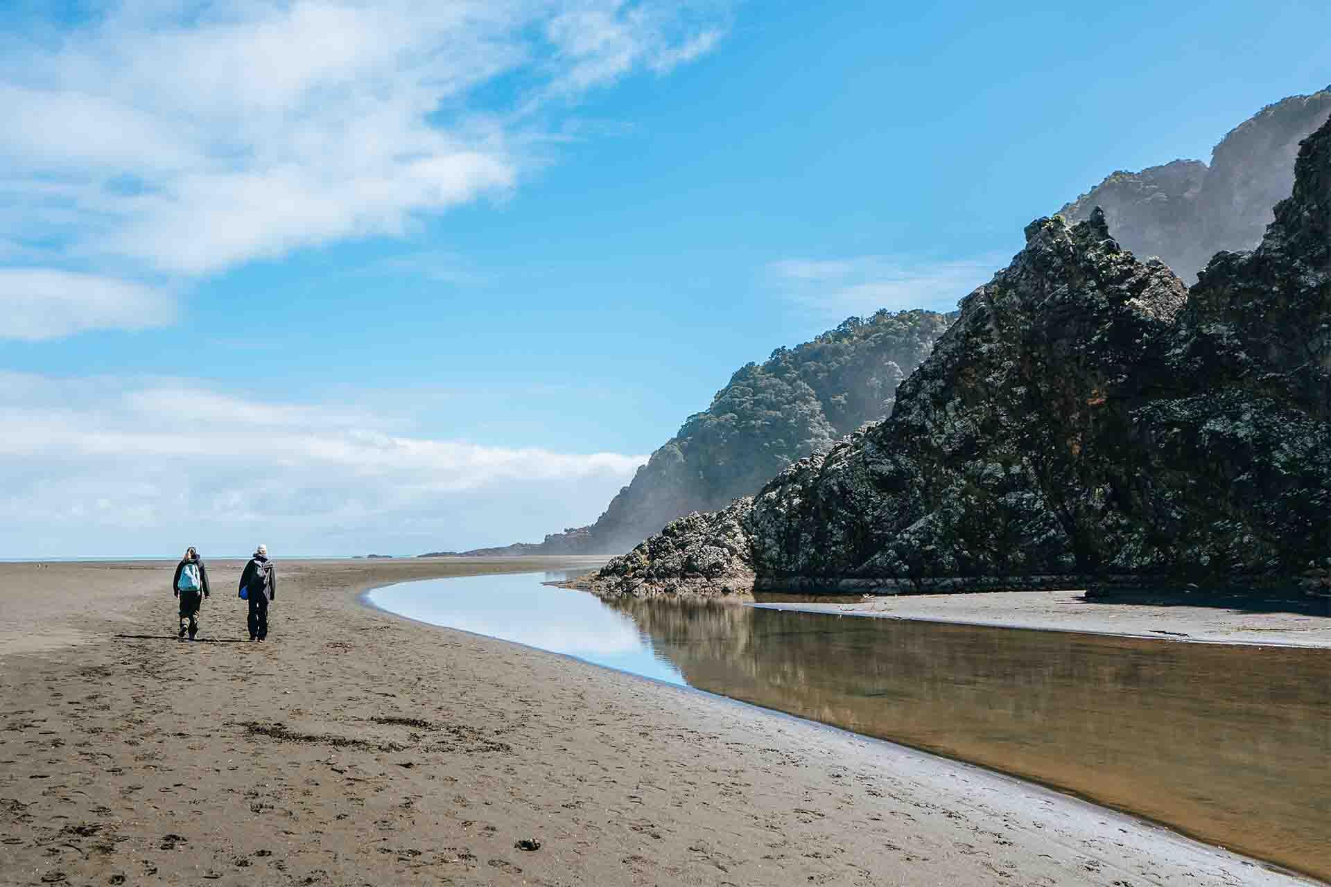 https://cdn.aucklandunlimited.com/zoo/assets/media/korora-fieldwork-monitoring-two-people-walking-along-the-beach.jpg