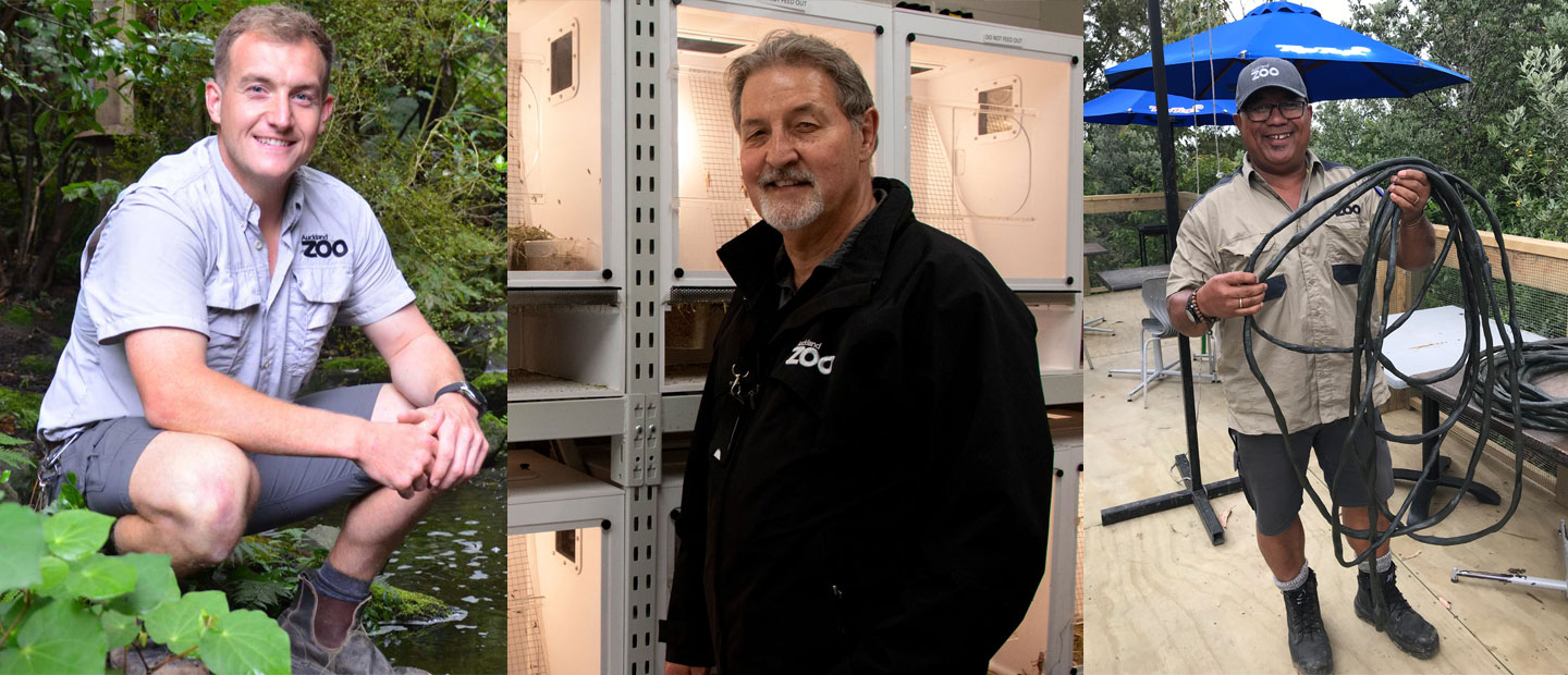 Kaitiaki of the Zoo 9 stories about the staff that keep our Zoo in