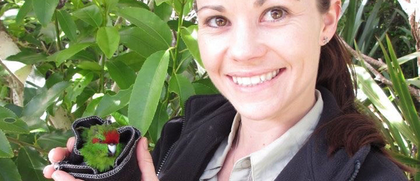 Coordinating conservation in Aotearoa and around the world | Auckland ...