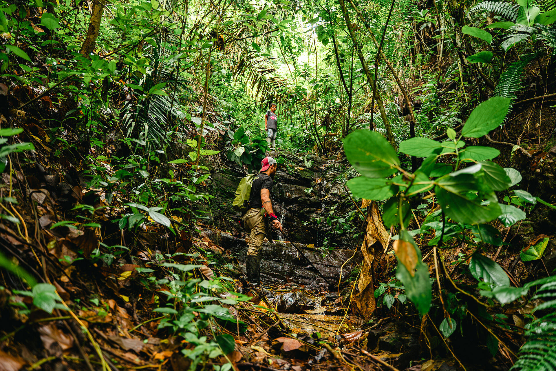 https://cdn.aucklandunlimited.com/zoo/assets/media/stream-search-photo-by-david-jacome2.jpg