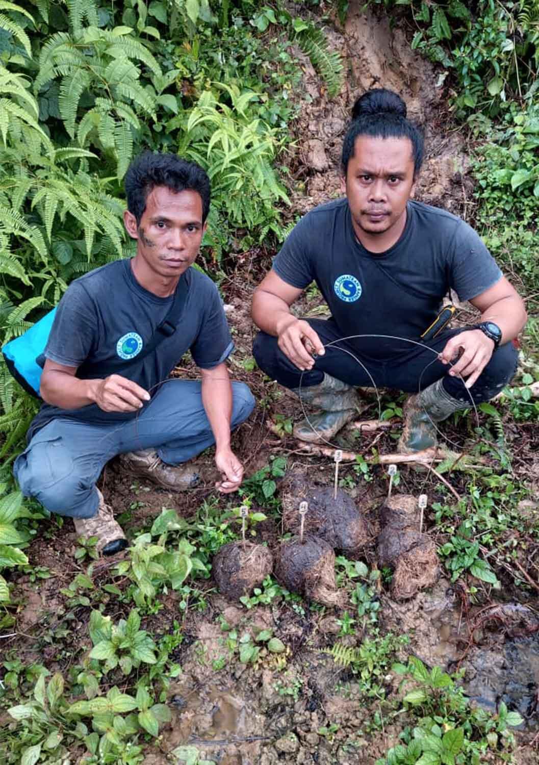 Sumatran Ranger Project rangers Jasson and Togar removing snares