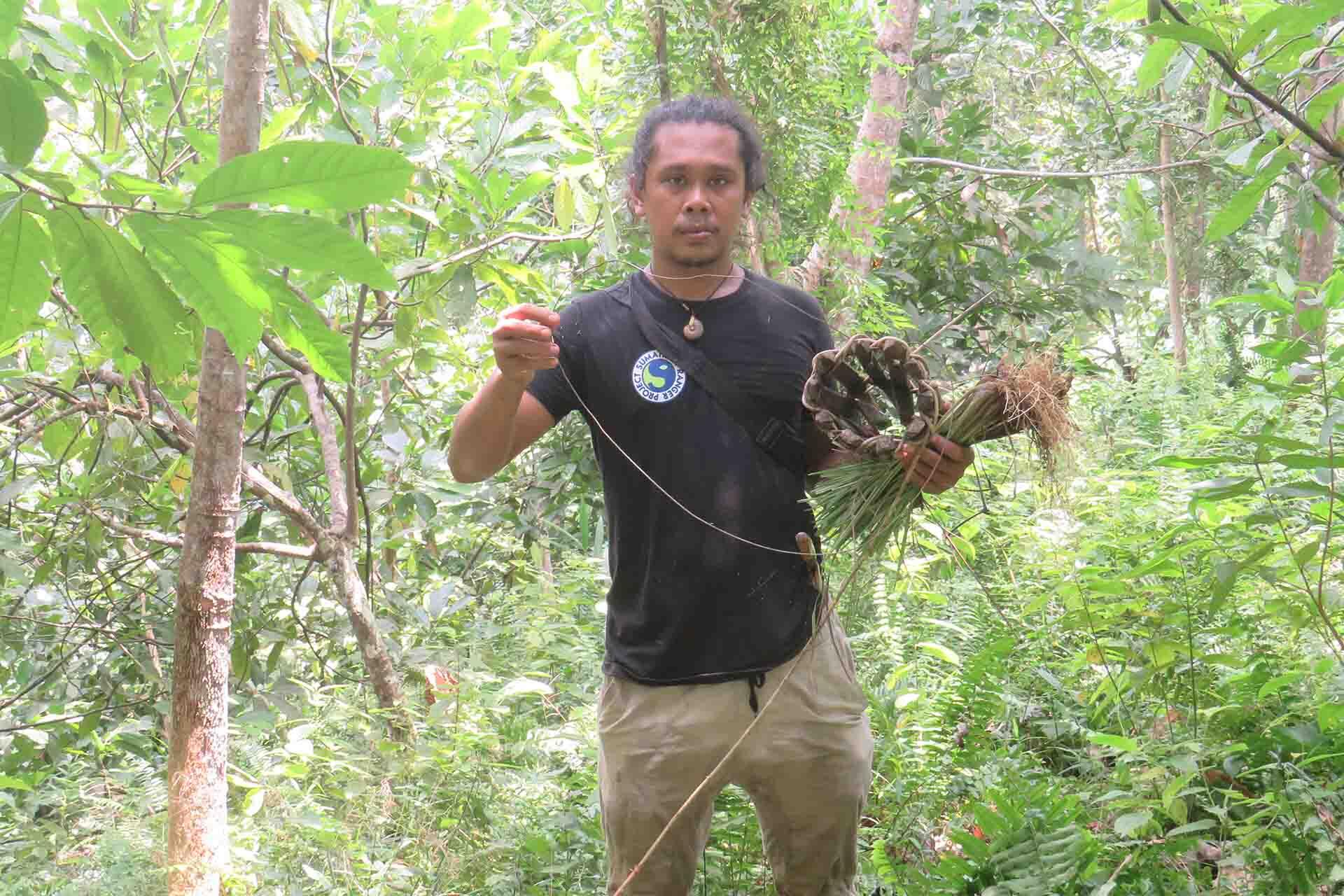 https://cdn.aucklandunlimited.com/zoo/assets/media/sumatran-ranger-project-jasson-removing-snare.jpg