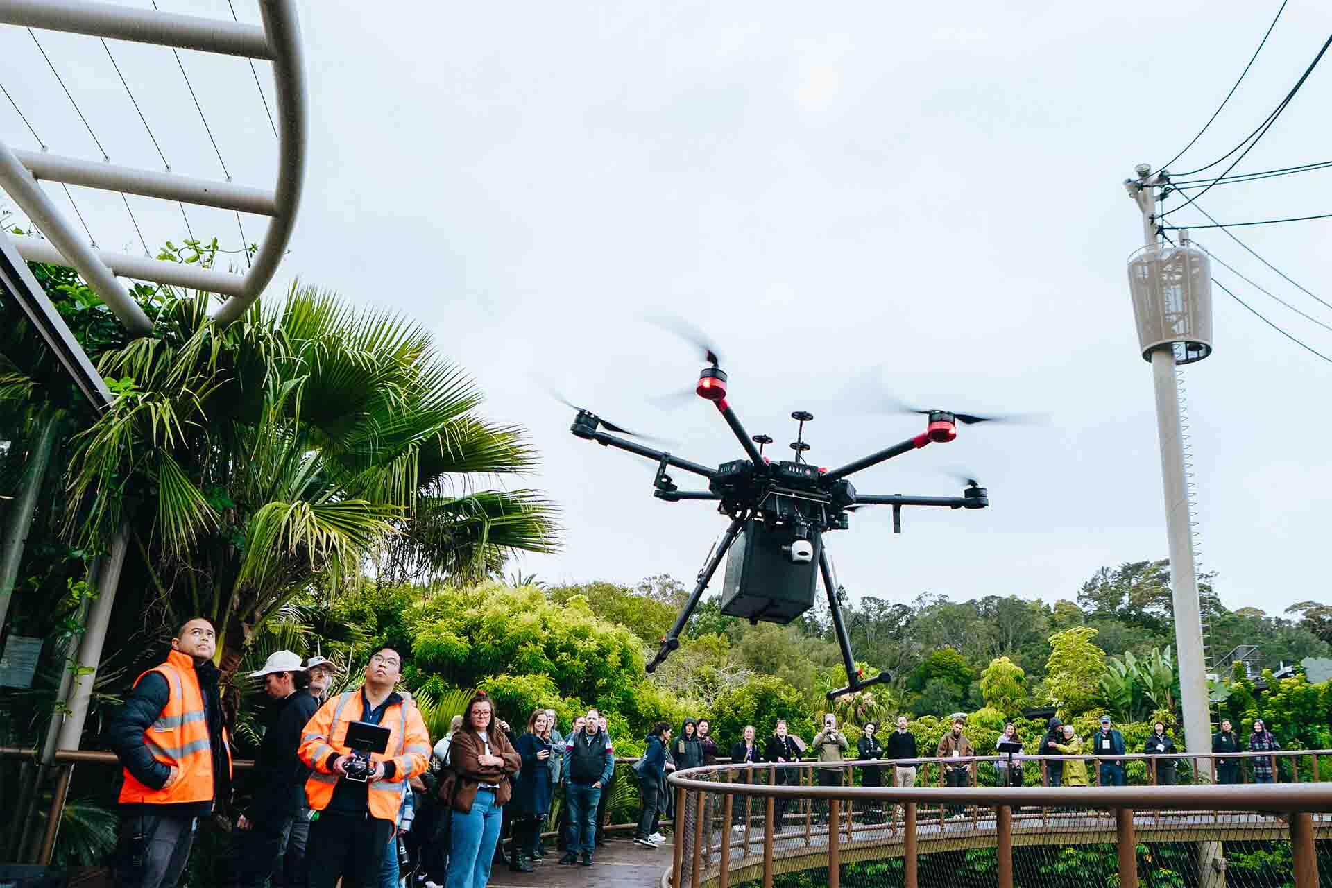 https://cdn.aucklandunlimited.com/zoo/assets/media/zaa-conference-auckland-zoo-drone-taking-off.jpg