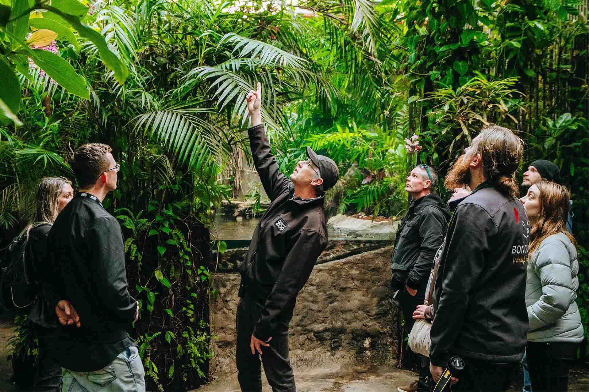 https://cdn.aucklandunlimited.com/zoo/assets/media/zaa-conference-swamp-forest-tour-with-richard-gibson-2.jpg